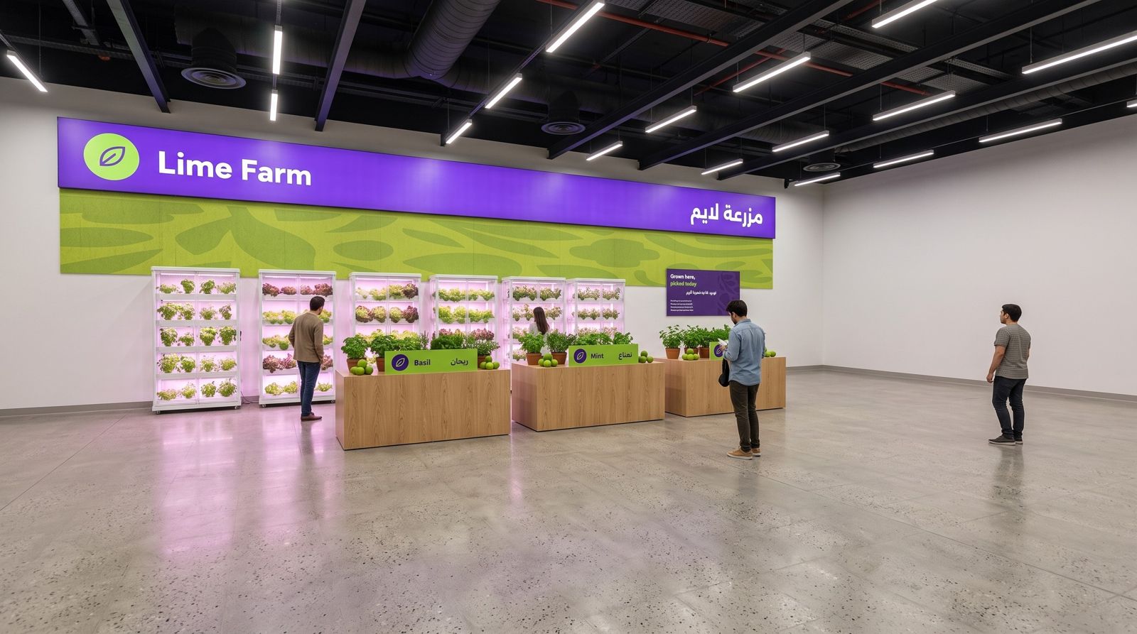 Lime Farm